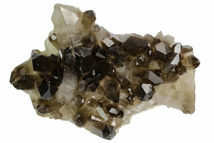 Dark Smoky Quartz Crystal Cluster - Brazil #124603